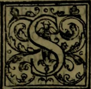 An illustration from Secundo volume delle navigationi et viaggi, 1574, leaf 6