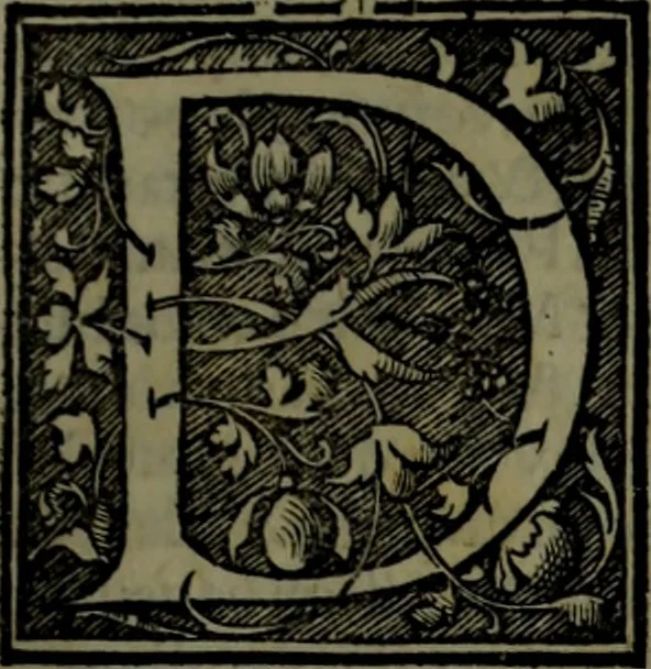 An illustration from Secundo volume delle navigationi et viaggi, 1574, leaf 66