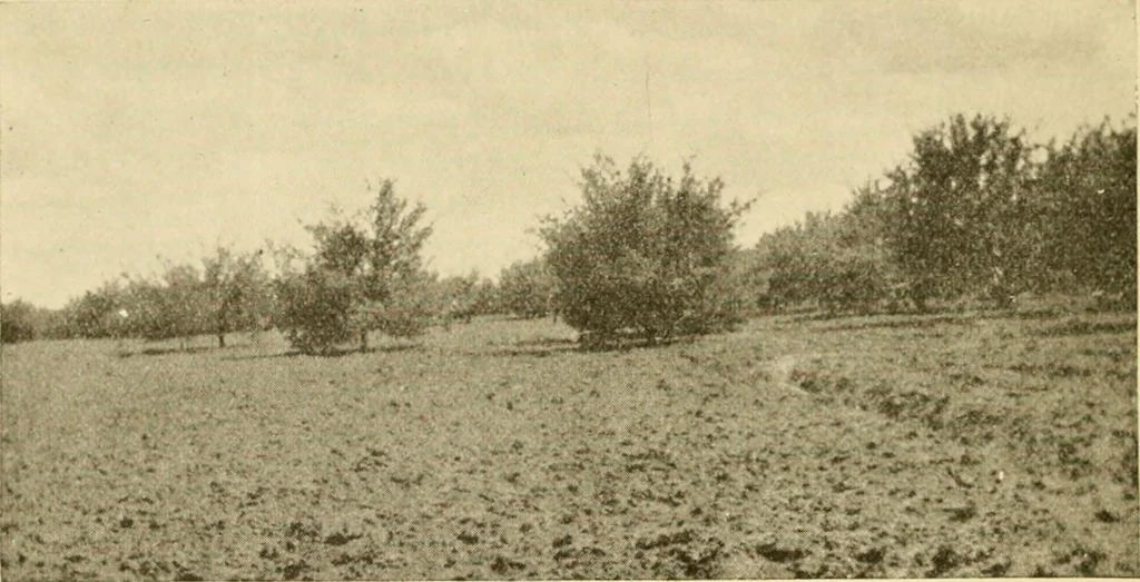 An illustration from Sedgwick County, Kansas; a church and community survey, 1922, leaf 27