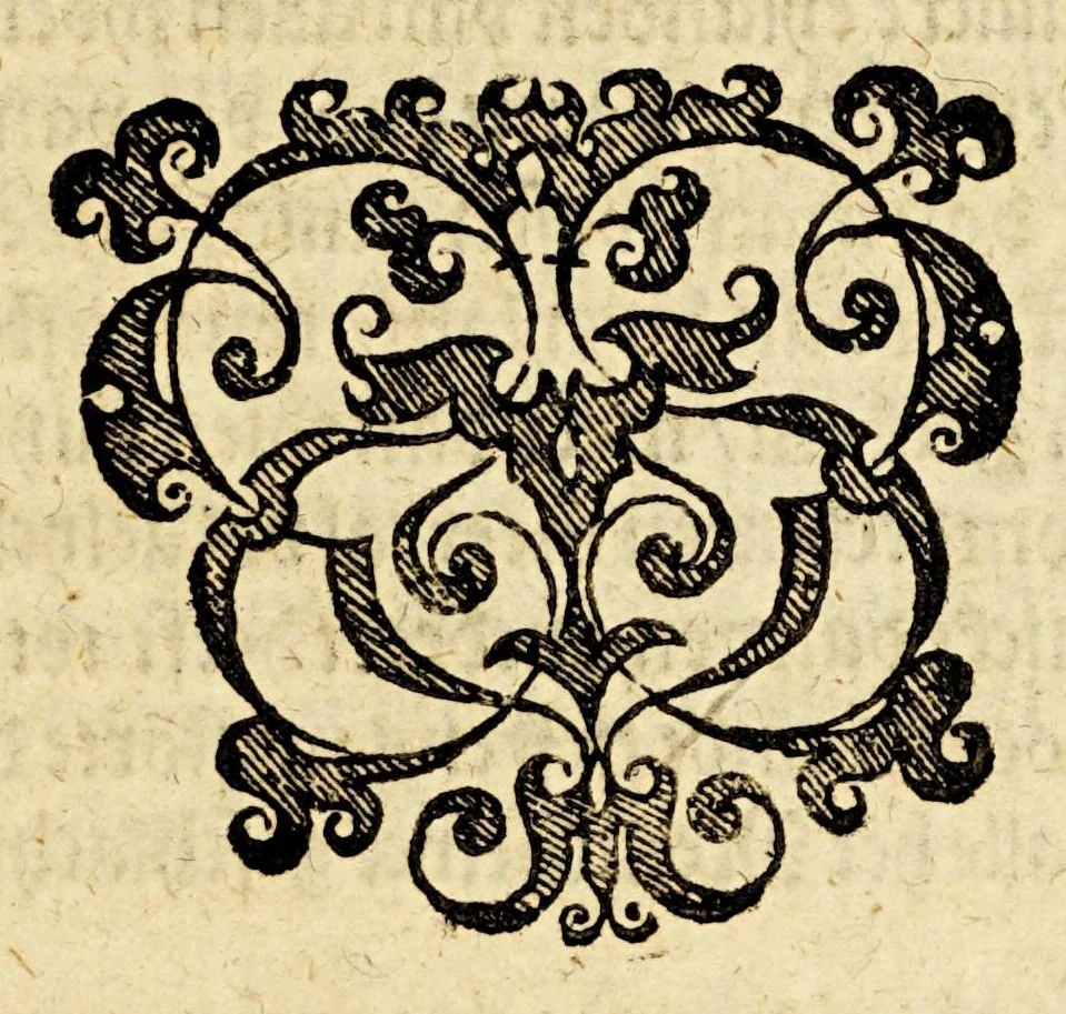 An illustration from Seer cort verhael vande destructie van d'Indien, 1578, leaf 15