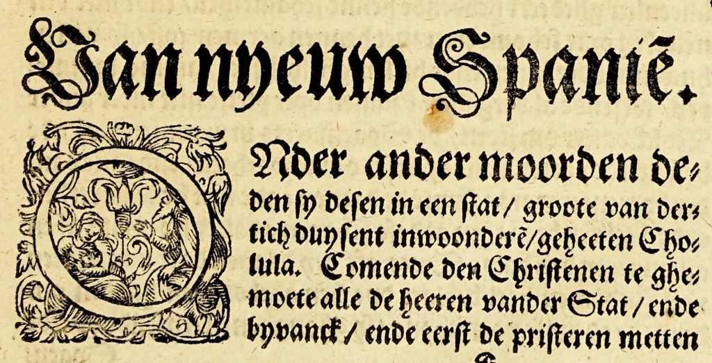 An illustration from Seer cort verhael vande destructie van d'Indien, 1578, leaf 49