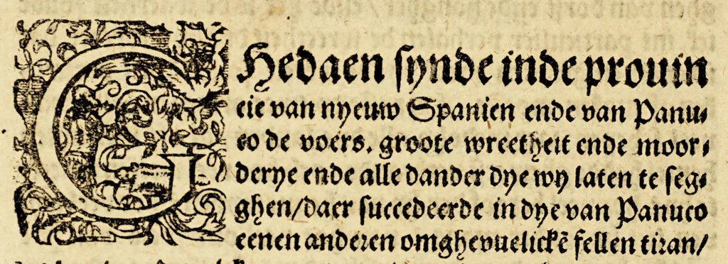 An illustration from Seer cort verhael vande destructie van d'Indien, 1578, leaf 66