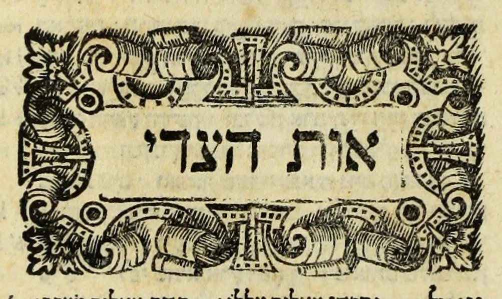 An illustration from Sefer ha-shorashim, 1546, leaf 207