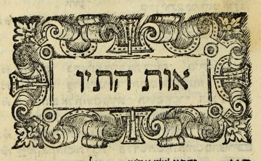 An illustration from Sefer ha-shorashim, 1546, leaf 269
