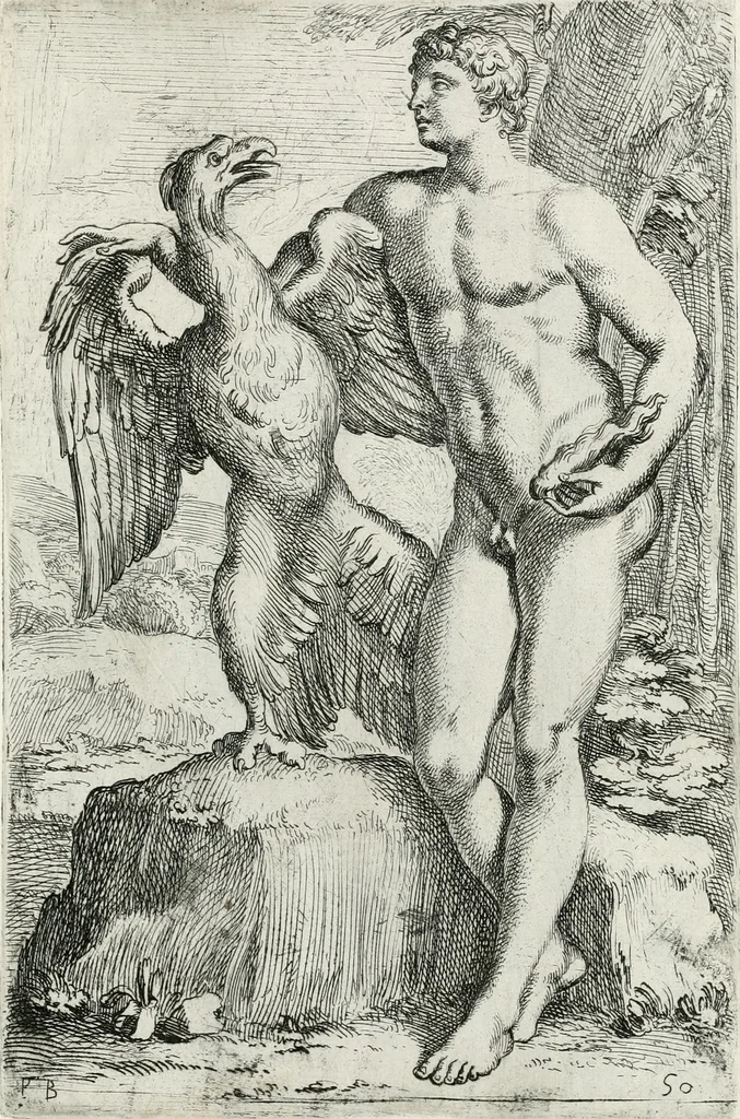An illustration from Segmenta nobilium signorum e statuaru : quæ temporis dentem inuidium euasere Urbis æternæ ruinis erepta, typis æneis ab se commissa perptuæ uenerationis monimentum, 1638, leaf 104