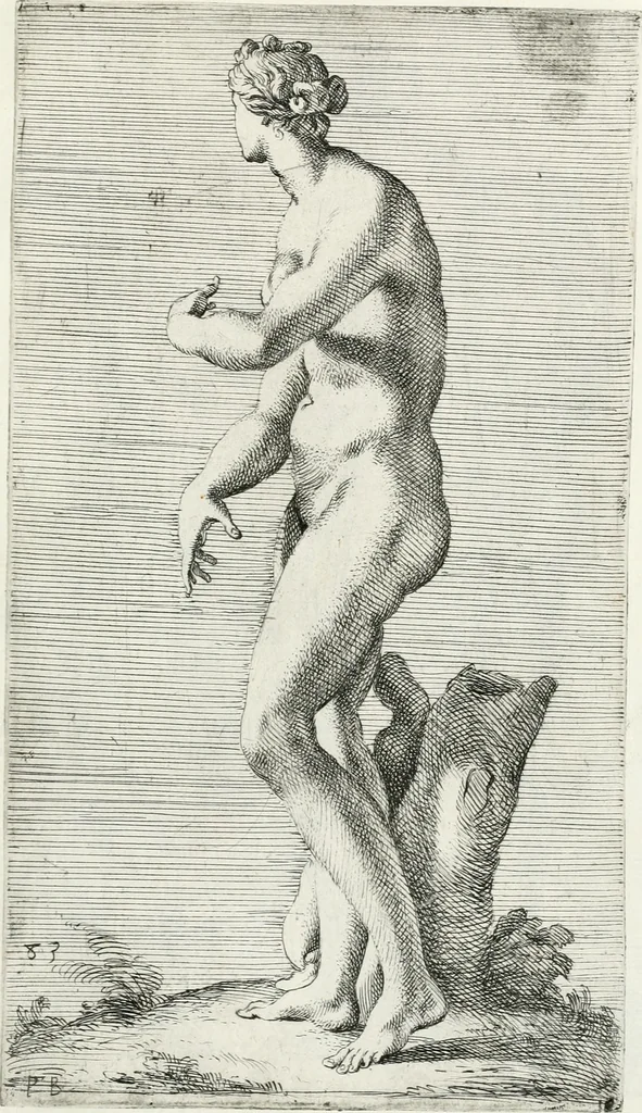 An illustration from Segmenta nobilium signorum e statuaru : quæ temporis dentem inuidium euasere Urbis æternæ ruinis erepta, typis æneis ab se commissa perptuæ uenerationis monimentum, 1638, leaf 172