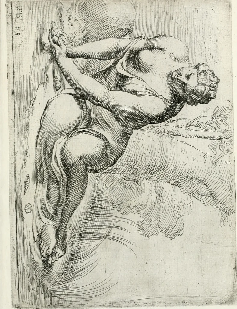 An illustration from Segmenta nobilium signorum e statuaru : quæ temporis dentem inuidium euasere Urbis æternæ ruinis erepta, typis æneis ab se commissa perptuæ uenerationis monimentum, 1638, leaf 186