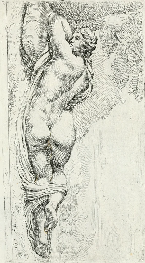 An illustration from Segmenta nobilium signorum e statuaru : quæ temporis dentem inuidium euasere Urbis æternæ ruinis erepta, typis æneis ab se commissa perptuæ uenerationis monimentum, 1638, leaf 188