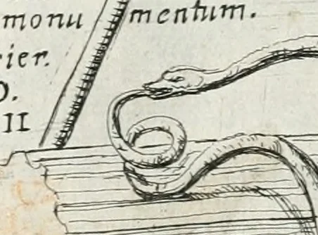 An illustration from Segmenta nobilium signorum e statuaru : quæ temporis dentem inuidium euasere Urbis æternæ ruinis erepta, typis æneis ab se commissa perptuæ uenerationis monimentum, 1638, leaf 4