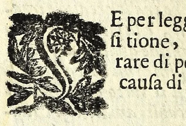 An illustration from Sei dvbbi amorosi : trattati academicamente, 1656, leaf 12