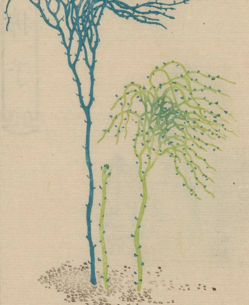 An illustration from Seisen Matsuranfu : shokoku bonsai shashin, 1837, leaf 22