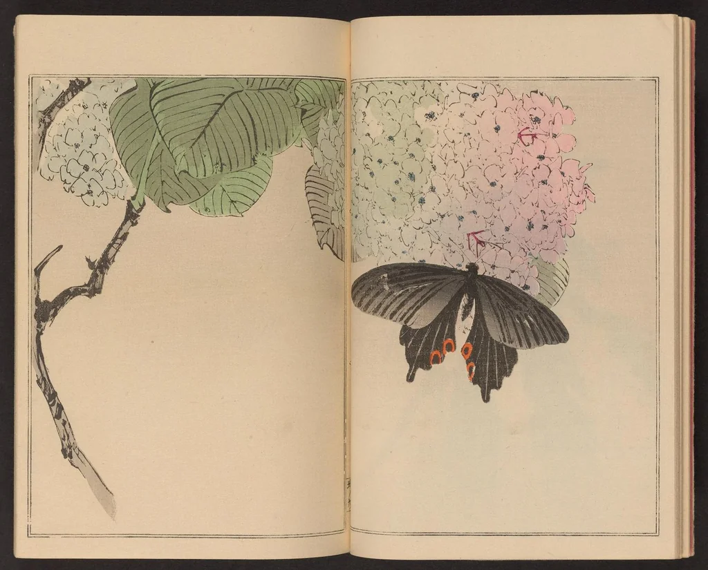 An illustration from Seitei kachō gafu, 1890, leaf 12