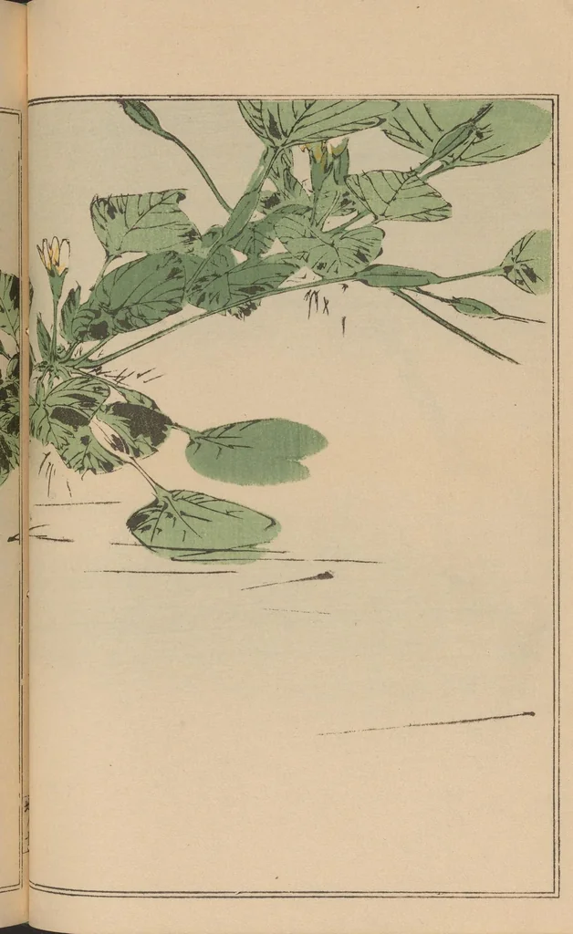An illustration from Seitei kachō gafu, 1890, leaf 13