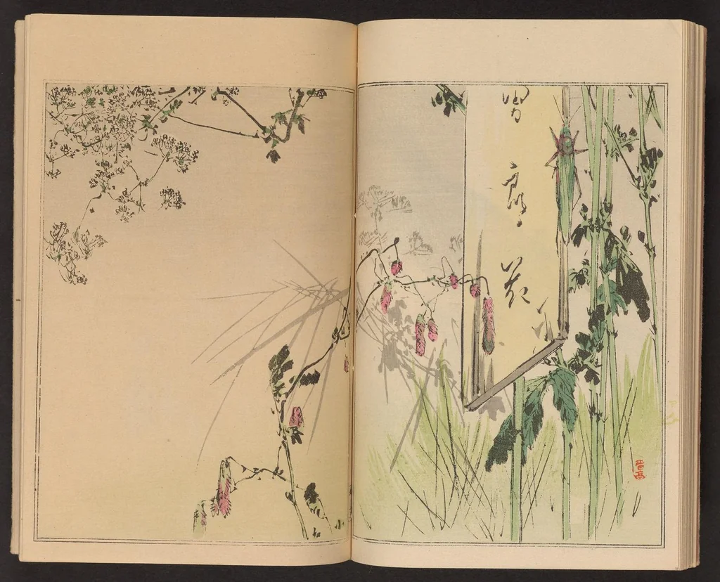 An illustration from Seitei kachō gafu, 1890, leaf 18