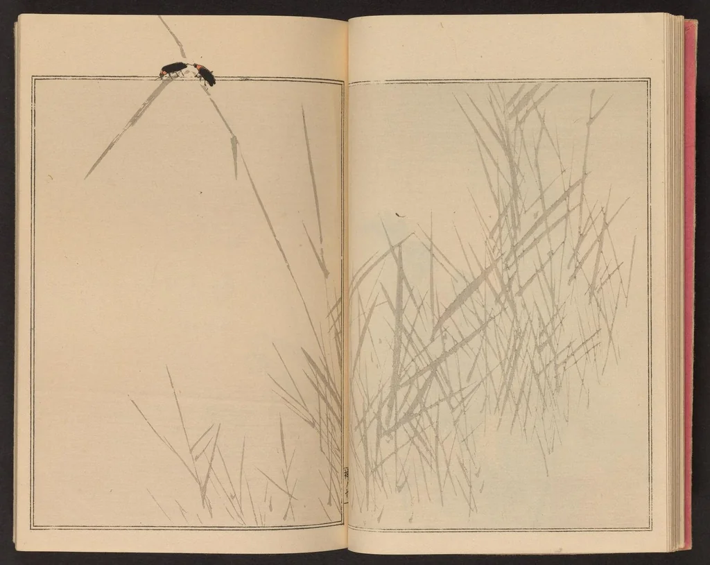 An illustration from Seitei kachō gafu, 1890, leaf 13