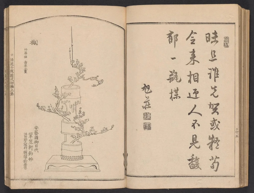 An illustration from Seizan goryū ikebana senbei zushiki : shohen, 1857, leaf 17