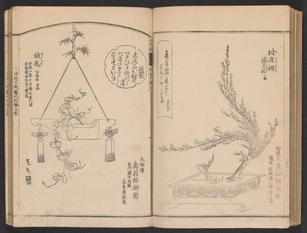 An illustration from Seizan goryū ikebana senbei zushiki : shohen, 1857, leaf 20