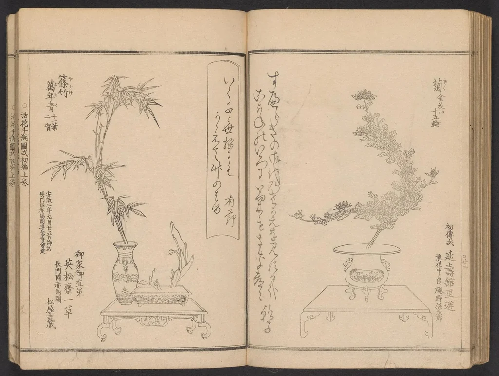 An illustration from Seizan goryū ikebana senbei zushiki : shohen, 1857, leaf 24