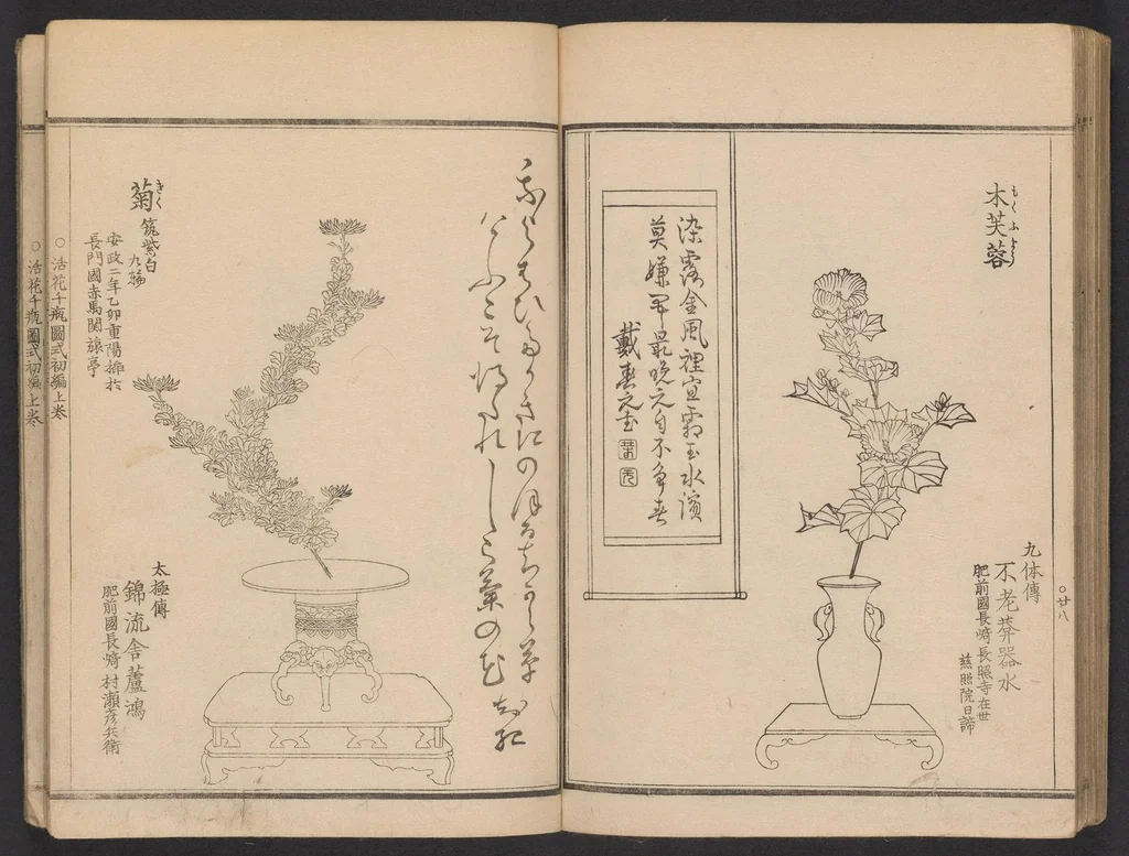 An illustration from Seizan goryū ikebana senbei zushiki : shohen, 1857, leaf 30