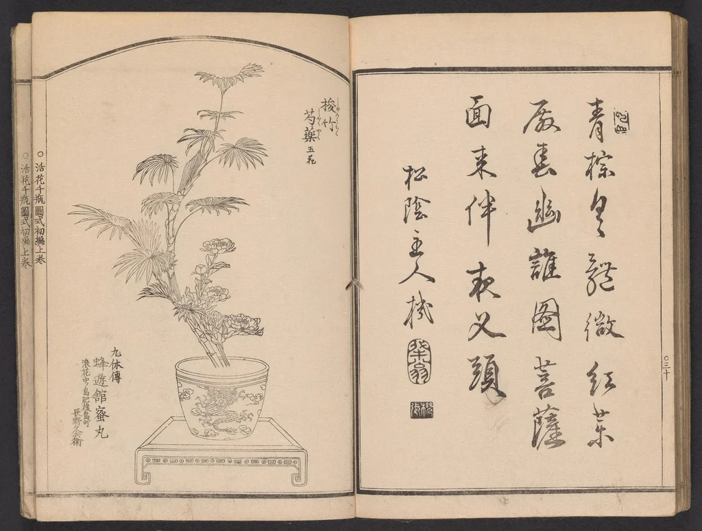 An illustration from Seizan goryū ikebana senbei zushiki : shohen, 1857, leaf 32