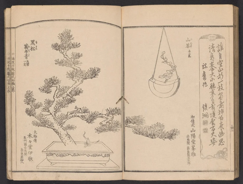 An illustration from Seizan goryū ikebana senbei zushiki : shohen, 1857, leaf 34