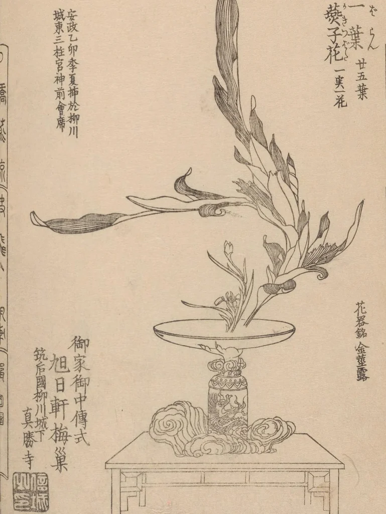 An illustration from Seizan goryū ikebana senbei zushiki : shohen, 1857, leaf 13