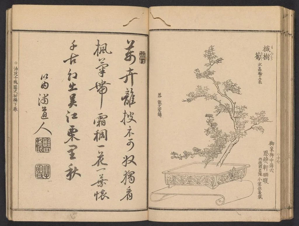 An illustration from Seizan goryū ikebana senbei zushiki : shohen, 1857, leaf 20