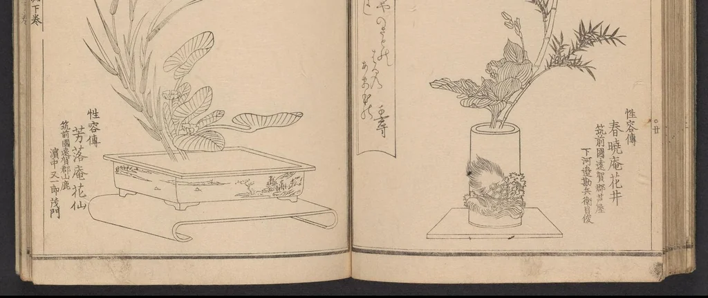 An illustration from Seizan goryū ikebana senbei zushiki : shohen, 1857, leaf 23
