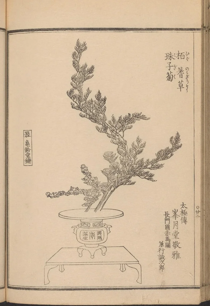An illustration from Seizan goryū ikebana senbei zushiki : shohen, 1857, leaf 25