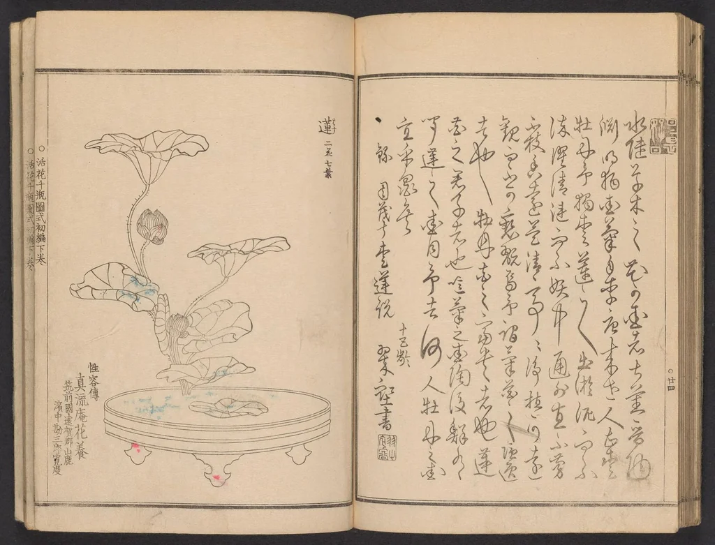 An illustration from Seizan goryū ikebana senbei zushiki : shohen, 1857, leaf 27