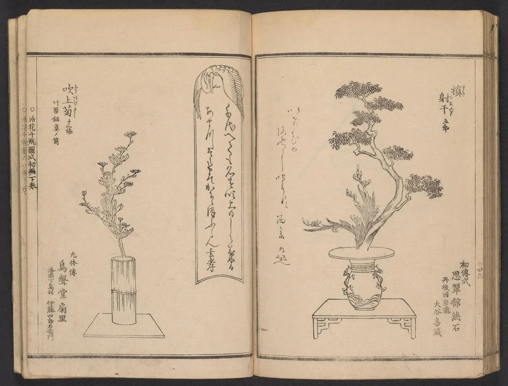 An illustration from Seizan goryū ikebana senbei zushiki : shohen, 1857, leaf 29