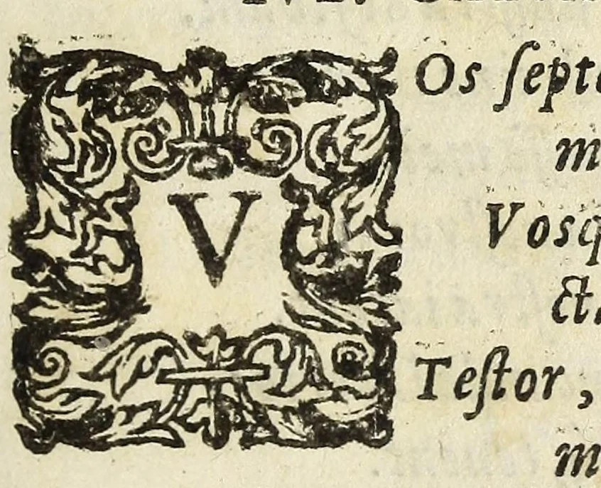An illustration from Selectae Christiani orbis deliciae ex vrbibus, templis, bibliothecis, et aliunde, 1608, leaf 19