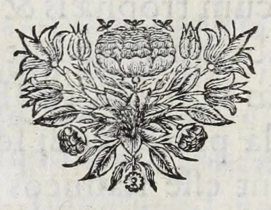 An illustration from Selecta numismata antiqua, 1684, leaf 212