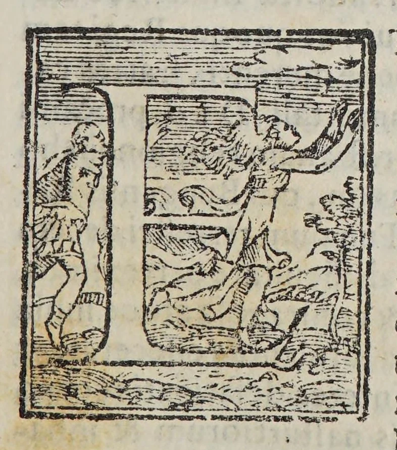 An illustration from Selectarum epistolarum ex India libri quatuor., 1588, leaf 157