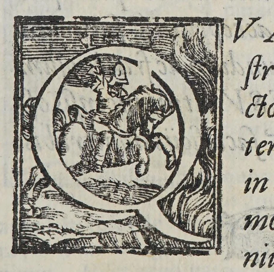 An illustration from Selectarum epistolarum ex India libri quatuor., 1588, leaf 255