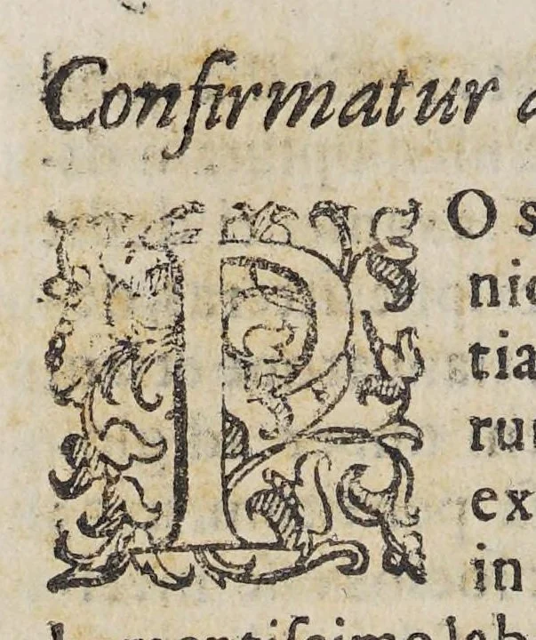 An illustration from Selectarum epistolarum ex India libri quatuor., 1588, leaf 370