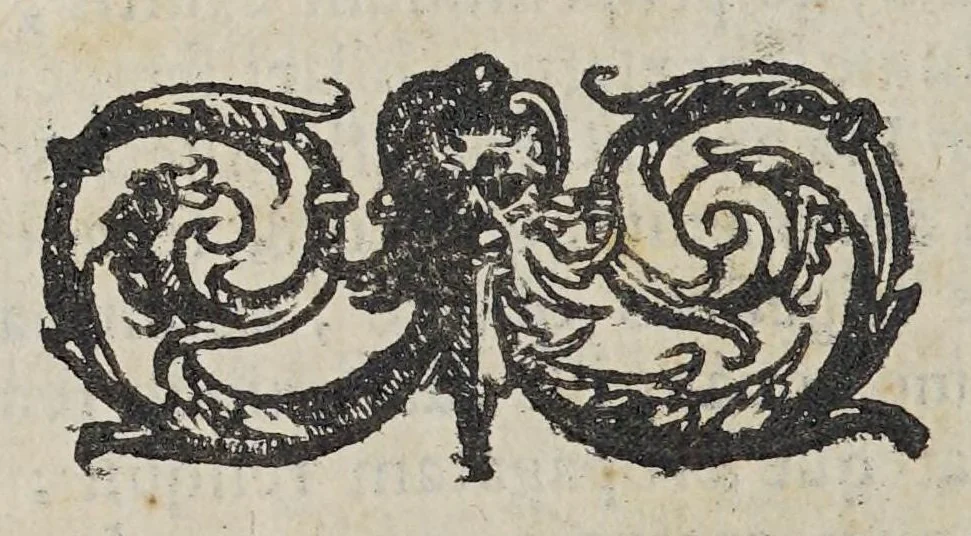 An illustration from Selectarum epistolarum ex India libri quatuor., 1588, leaf 378