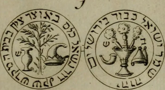 An illustration from Selecta sacra. Libri quinque. Cum indicibus locupletissimis, & tabulis aeneis elegantissimis, 1700, leaf 282
