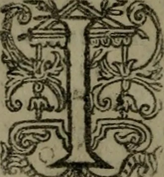 An illustration from Selecta sacra. Libri quinque. Cum indicibus locupletissimis, & tabulis aeneis elegantissimis, 1700, leaf 363