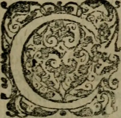 An illustration from Selecta sacra. Libri quinque. Cum indicibus locupletissimis, & tabulis aeneis elegantissimis, 1700, leaf 434