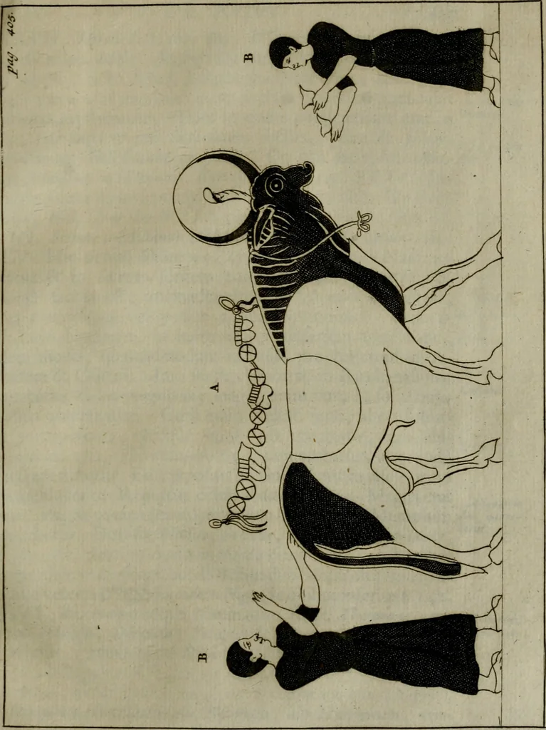 An illustration from Selecta sacra. Libri quinque. Cum indicibus locupletissimis, & tabulis aeneis elegantissimis, 1700, leaf 484