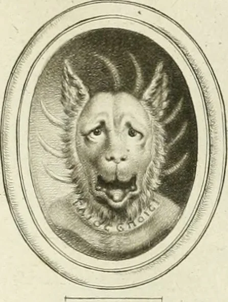 An illustration from A select collection of drawings from curious antique gems : most of them in the possession of the nobility and gentry of this kingdom : etched after the manner of Rembrandt, 1768, leaf 60