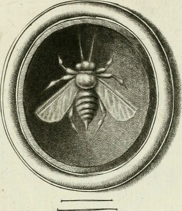 An illustration from A select collection of drawings from curious antique gems : most of them in the possession of the nobility and gentry of this kingdom : etched after the manner of Rembrandt, 1768, leaf 114