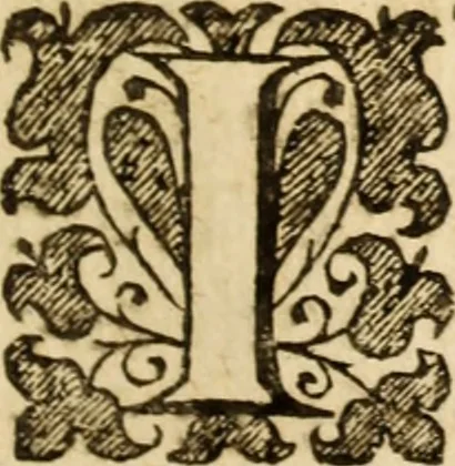An illustration from Select discourses ..., 1660, leaf 512