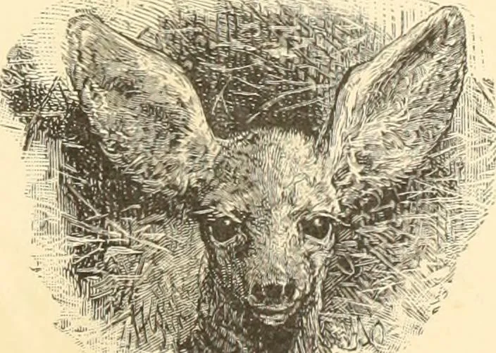 An illustration from Selected proofs from the first and second portfolios of illustrations from Scribner's Monthly and St. Nicholas, 1881, leaf 12