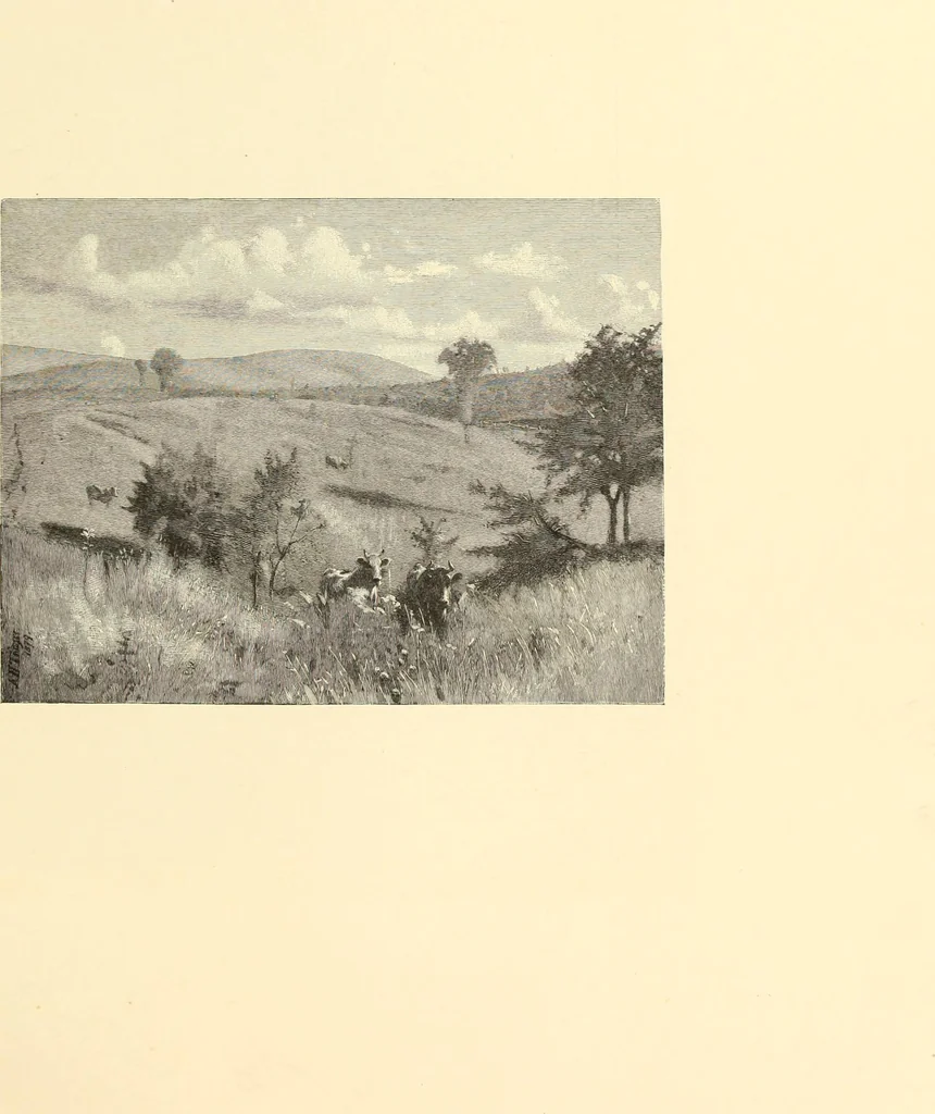 An illustration from Selected proofs from the first and second portfolios of illustrations from Scribner's Monthly and St. Nicholas, 1881, leaf 44
