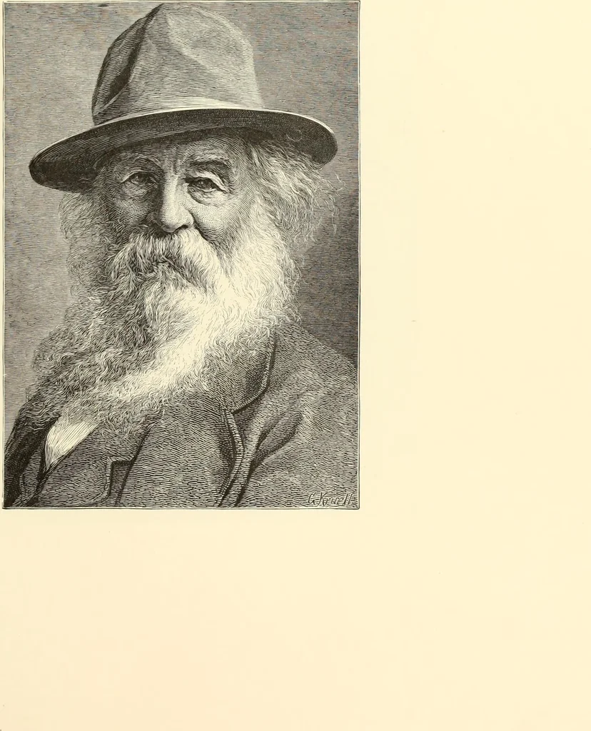 An illustration from Selected proofs from the first and second portfolios of illustrations from Scribner's Monthly and St. Nicholas, 1881, leaf 90