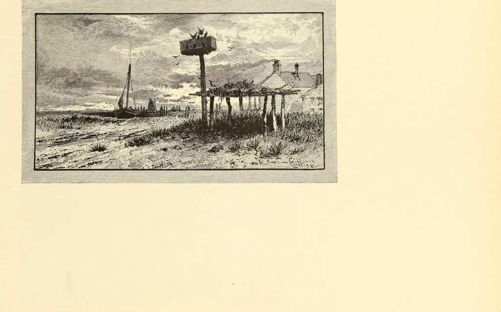 An illustration from Selected proofs from the first and second portfolios of illustrations from Scribner's Monthly and St. Nicholas, 1881, leaf 98