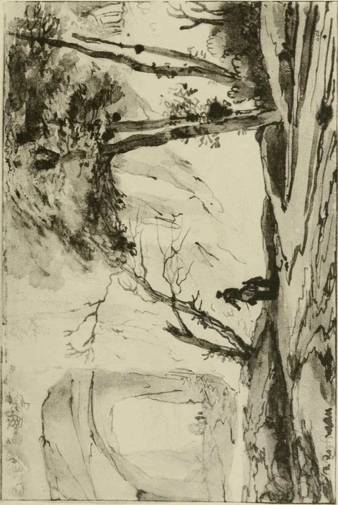 An illustration from A selection of drawings by old masters in the Museum collections, 1921, leaf 124