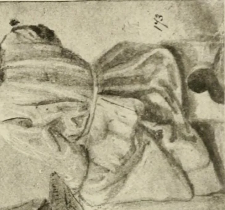 An illustration from A selection of drawings by old masters in the Museum collections, 1921, leaf 82